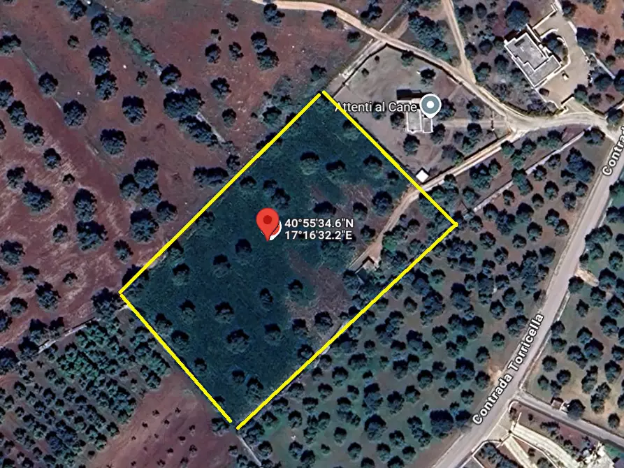 Immagine 1 di Terreno edificabile in vendita  in Contrada Torricella a Monopoli