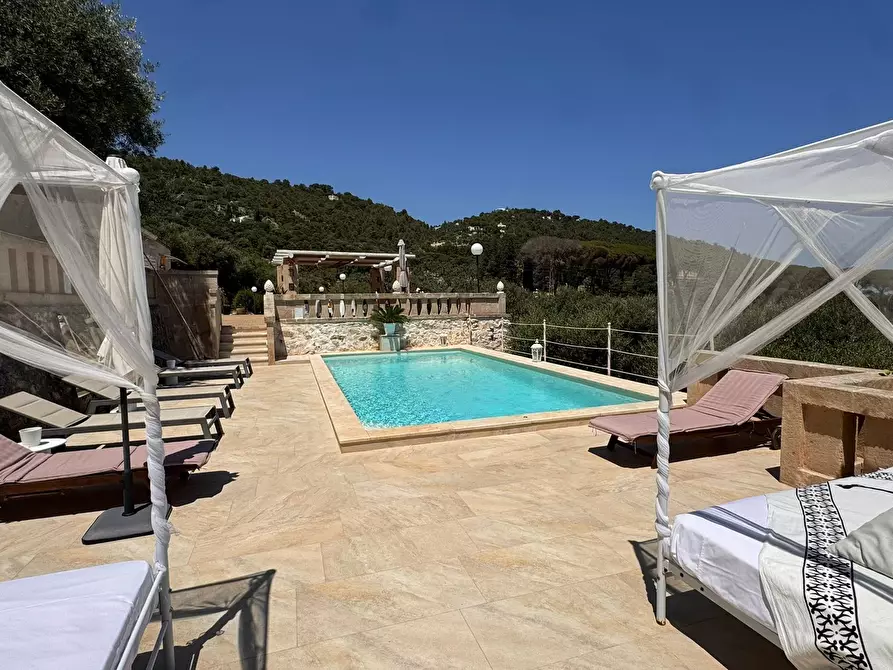 Immagine 26 di Rustico / casale in vendita  in Viale Monte Cannone a Fasano