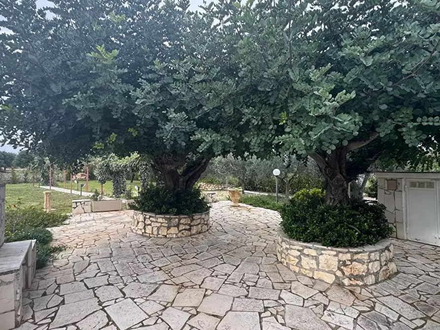 Immagine 6 di Casa indipendente in vendita  in contrada materdomini a Monopoli