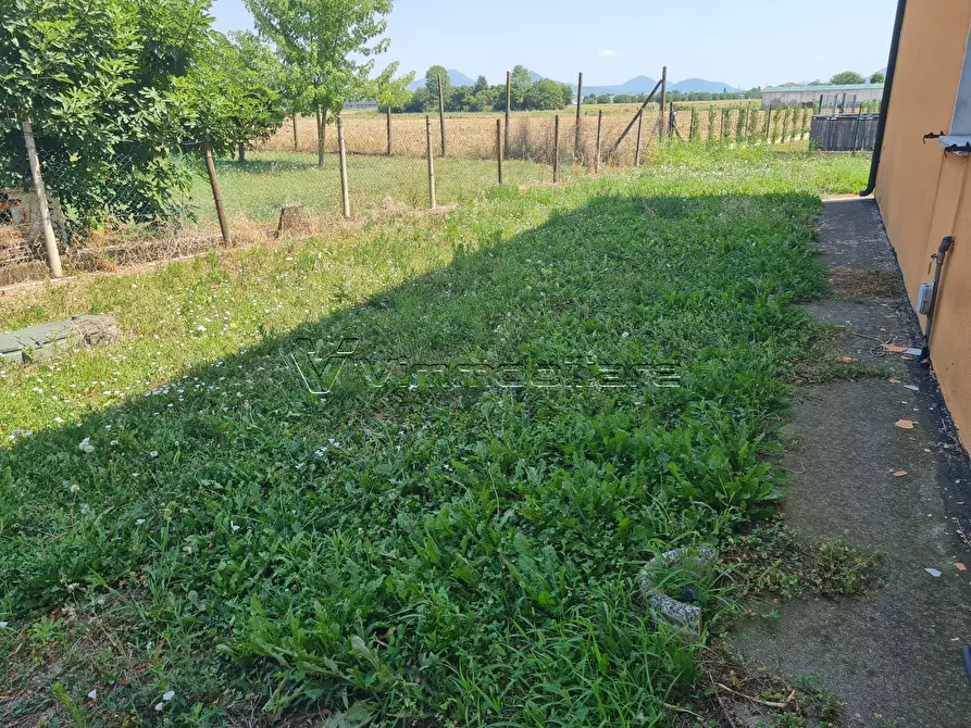 Immagine 40 di Casa indipendente in vendita  a Poiana Maggiore