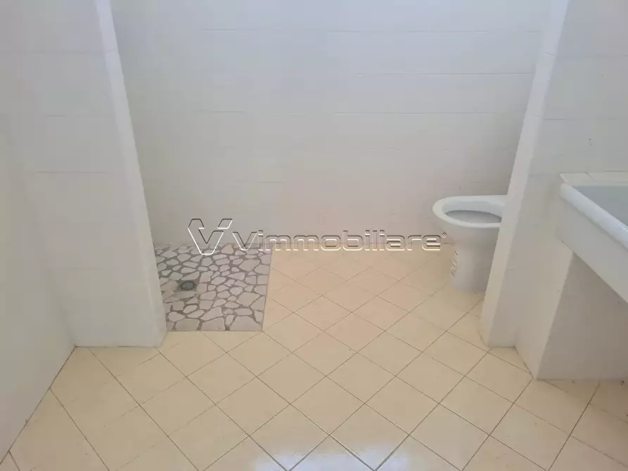 Immagine 21 di Magazzino in vendita  in via pezza bassa 4 a Poiana Maggiore