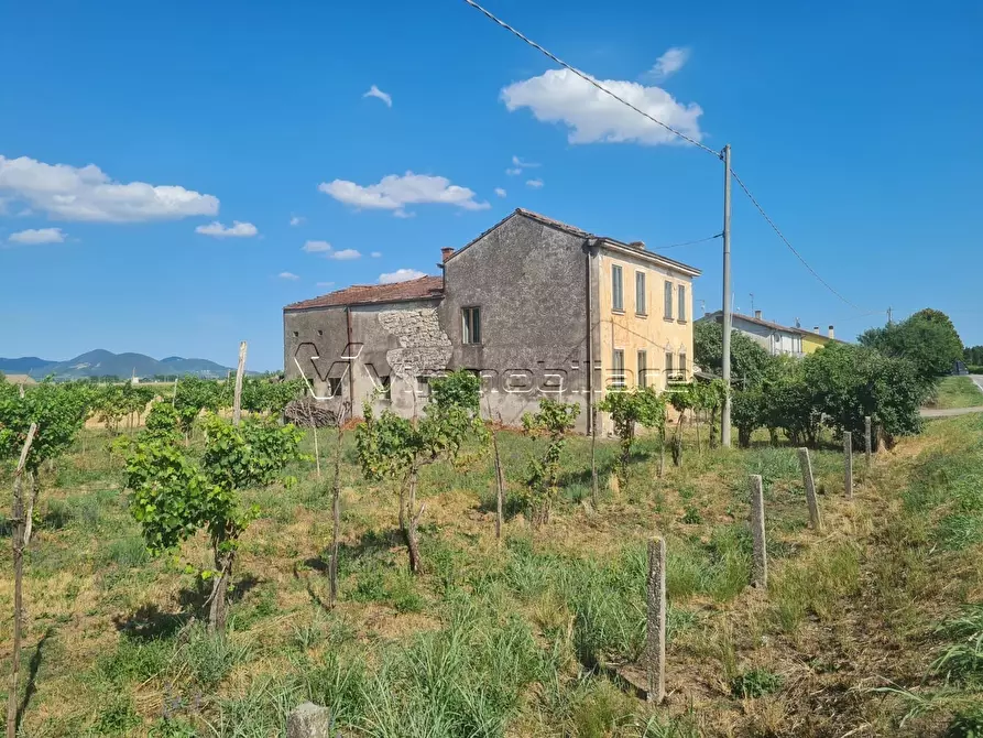 Immagine 2 di Rustico / casale in vendita  in via caselle 43 a Noventa Vicentina