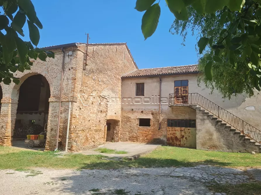 Immagine 4 di Magazzino in vendita  in via disturbo 10 a Agugliaro