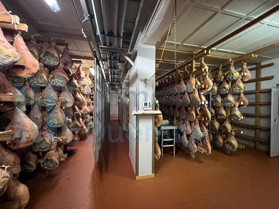 Immagine 30 di Attività artigianale in vendita  a Savignano Sul Panaro