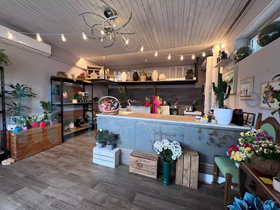 Immagine 1 di Attività commerciale in vendita  a Bologna