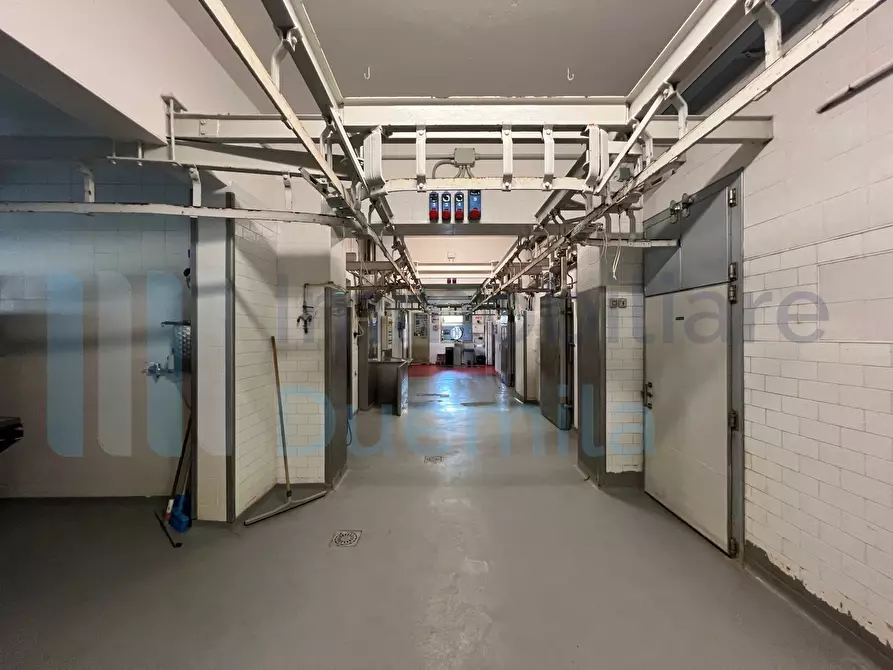 Immagine 3 di Attività artigianale in vendita  a Savignano Sul Panaro