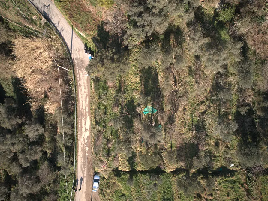 Immagine 4 di Terreno agricolo in vendita  in Via Marmorassi 75 a Savona