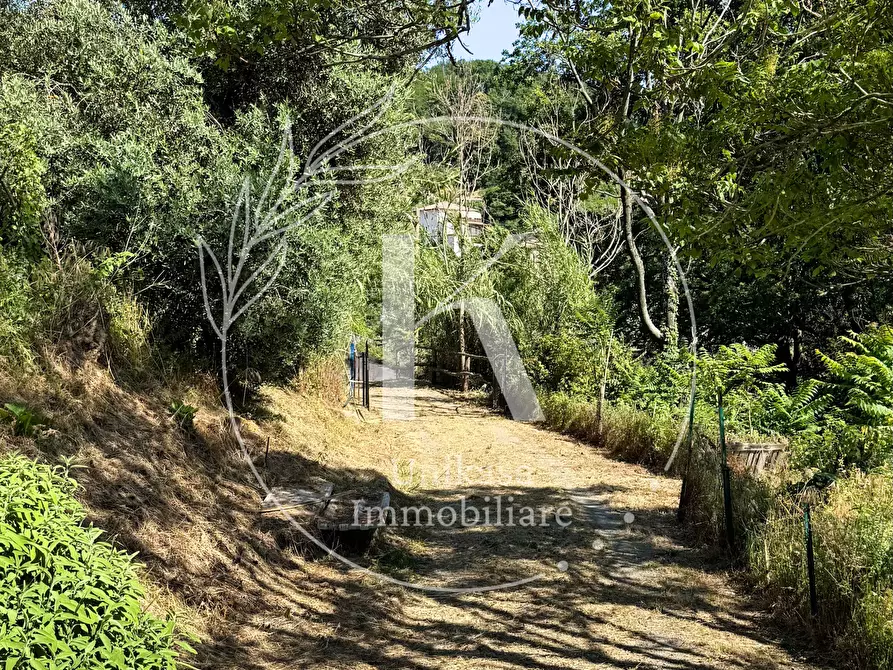 Immagine 9 di Casa indipendente in vendita  in Località Mezzano 22 a Stella