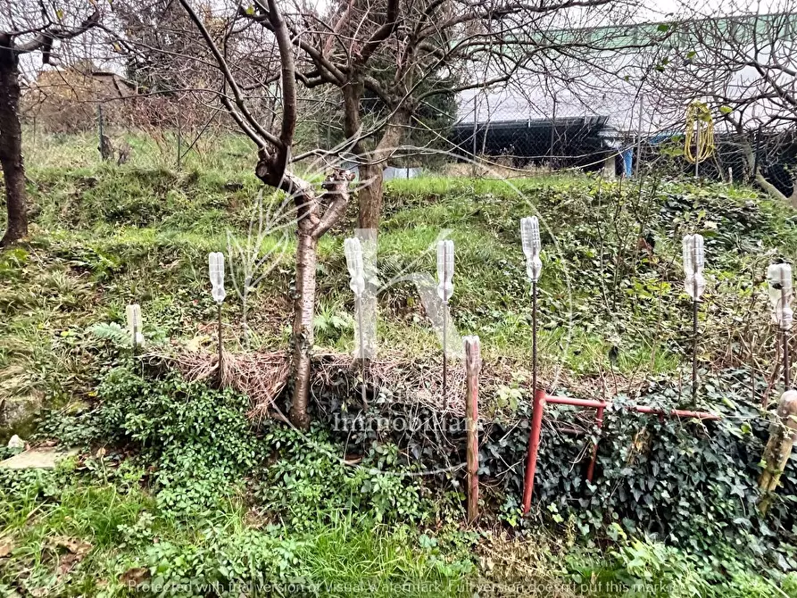 Immagine 24 di Quadrilocale in vendita  in Via Roma a Altare