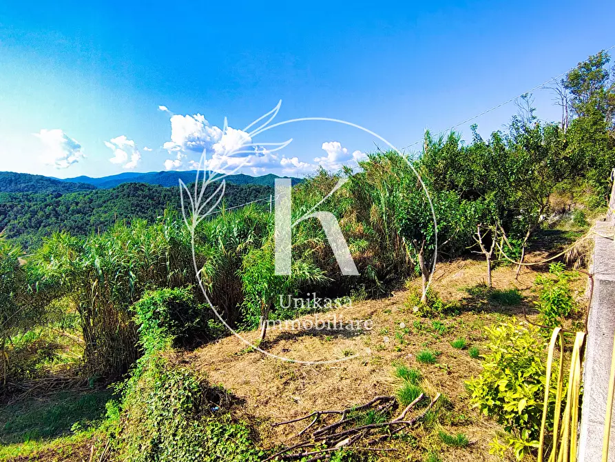 Immagine 71 di Casa semindipendente in vendita  in Località Fornacca a Cosseria