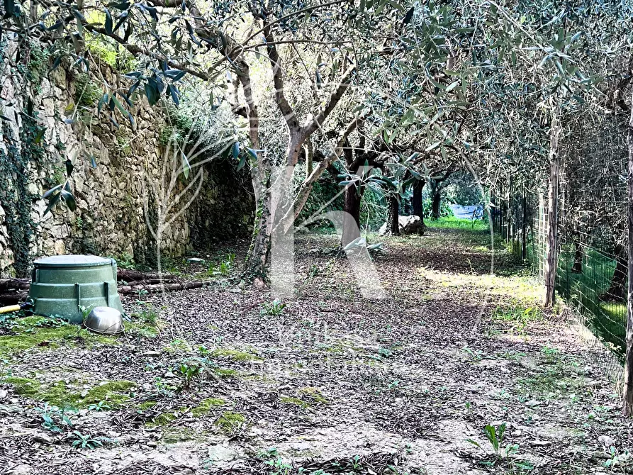 Immagine 59 di Villa in vendita  in Via per Calice a Finale Ligure