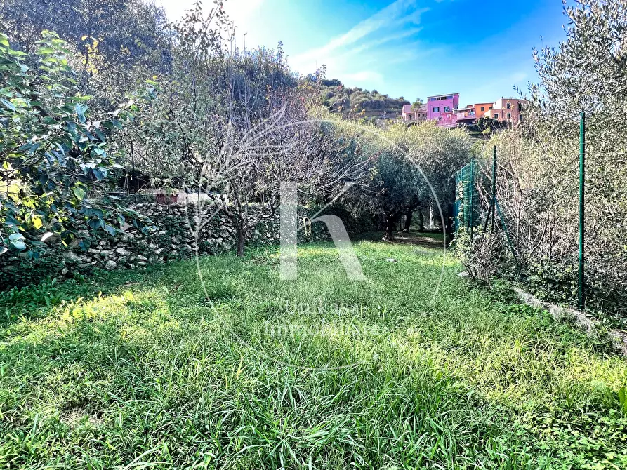 Immagine 25 di Villa in vendita  in Via per Calice a Finale Ligure