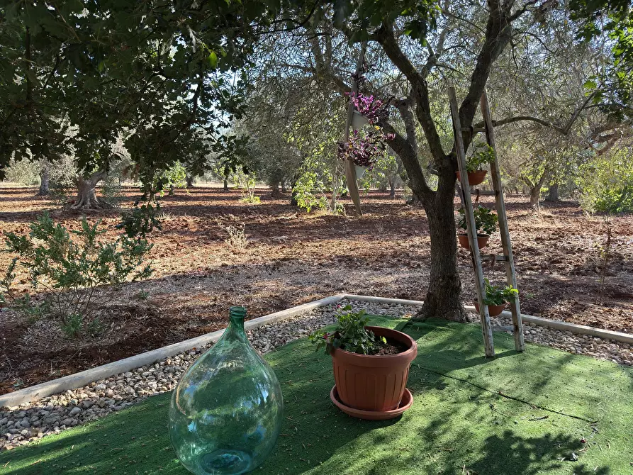 Immagine 5 di Villa in vendita  in Strada Provinciale 29 a Ceglie Messapico