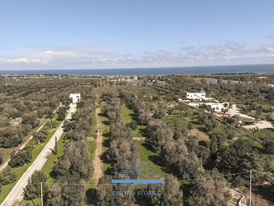 Immagine 1 di Rustico / casale in vendita  a Carovigno