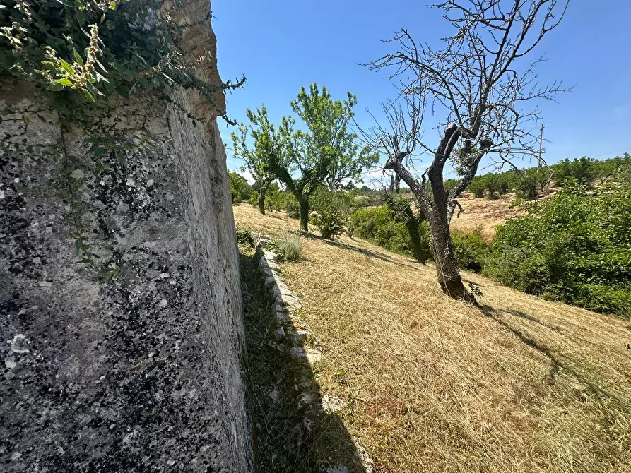 Immagine 19 di Villa in vendita  in Contrada Fantese 38 a Ostuni
