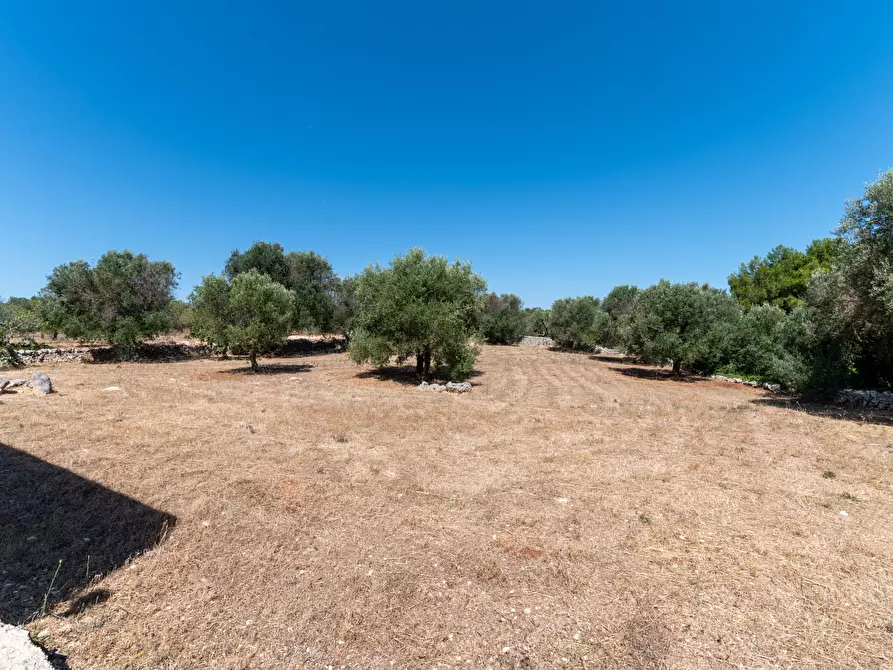Immagine 39 di Villa in vendita  in contrada san benedetto a Ostuni