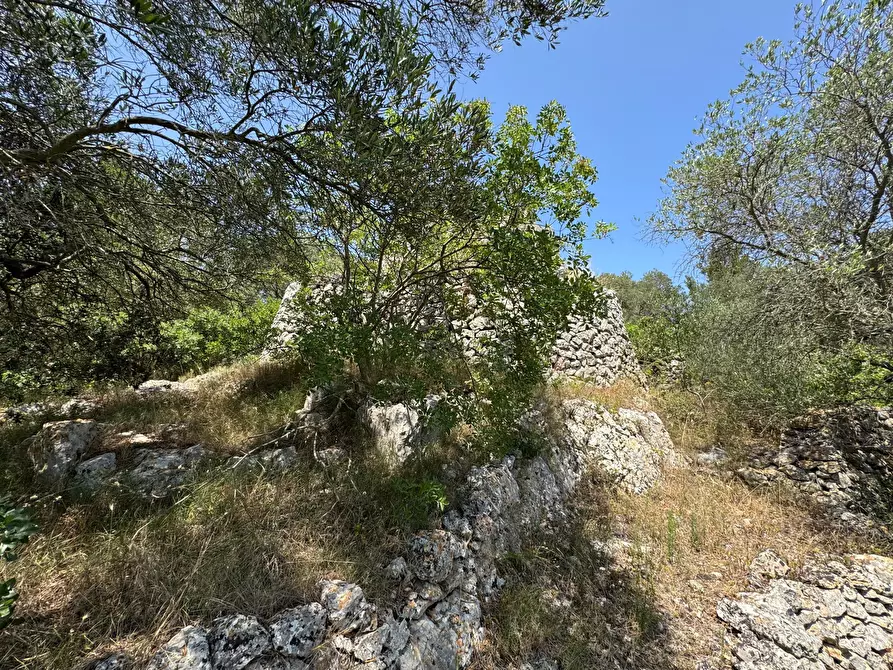 Immagine 43 di Casa indipendente in vendita  in santuario san biagio a Ostuni