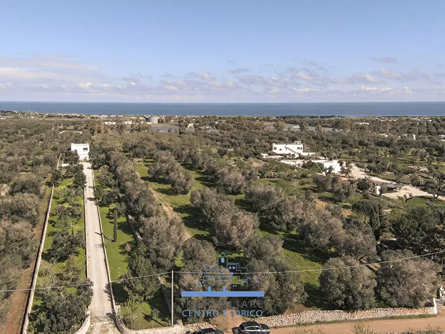 Immagine 3 di Rustico / casale in vendita  a Carovigno