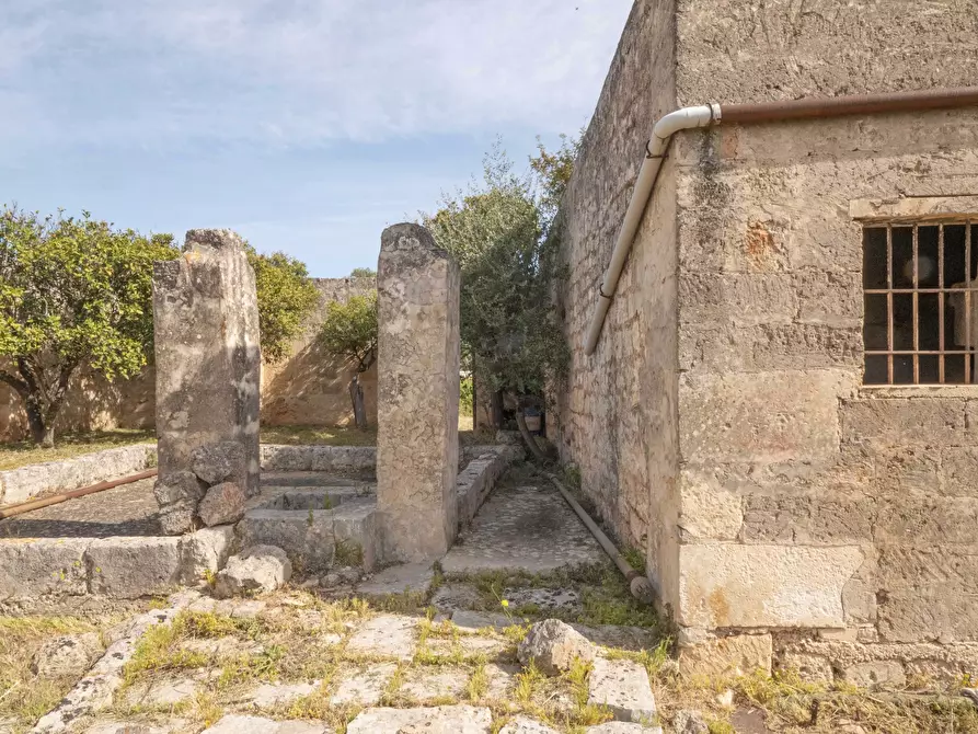 Immagine 6 di Rustico / casale in vendita  a Ostuni