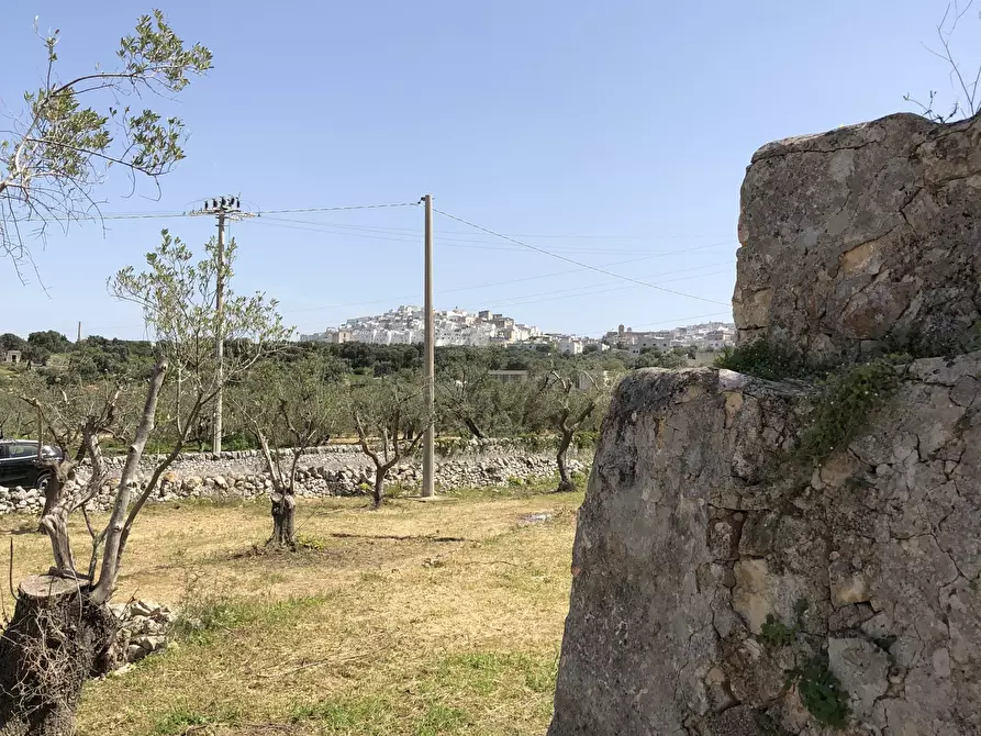 Immagine 6 di Casa indipendente in vendita  in Contrada Malandrino a Ostuni