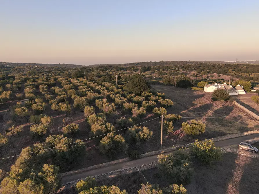 Immagine 3 di Terreno edificabile in vendita  in Contrada Difesa San Salvatore 8 a Ostuni