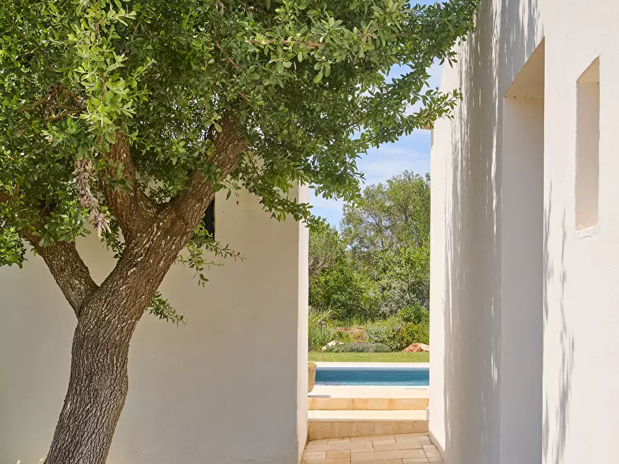 Immagine 60 di Casa indipendente in vendita  in contrada sessana snc a Ostuni