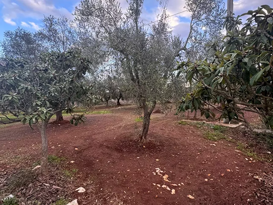 Immagine 7 di Casa indipendente in vendita  in Strada Provinciale ex SS 581 a Ceglie Messapico