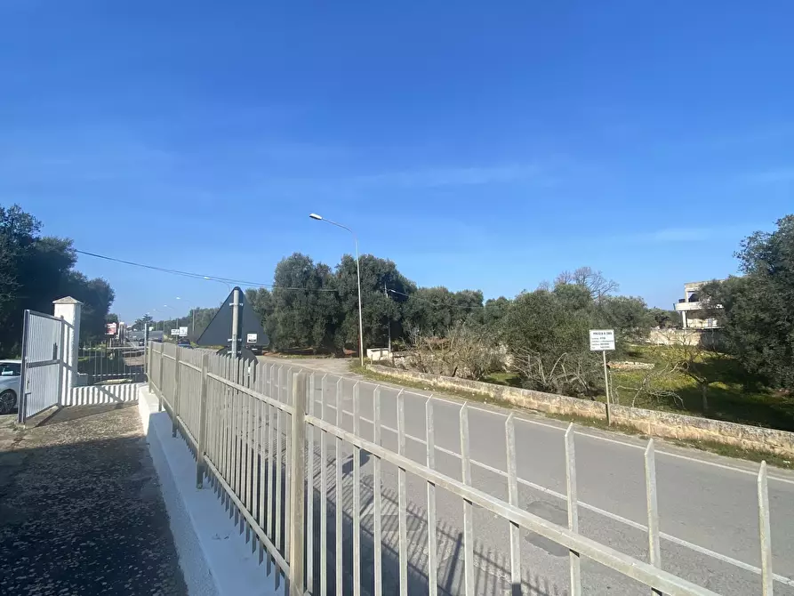 Immagine 4 di Azienda agricola in vendita  in Strada Statale 16 Adriatica 105 a Ostuni