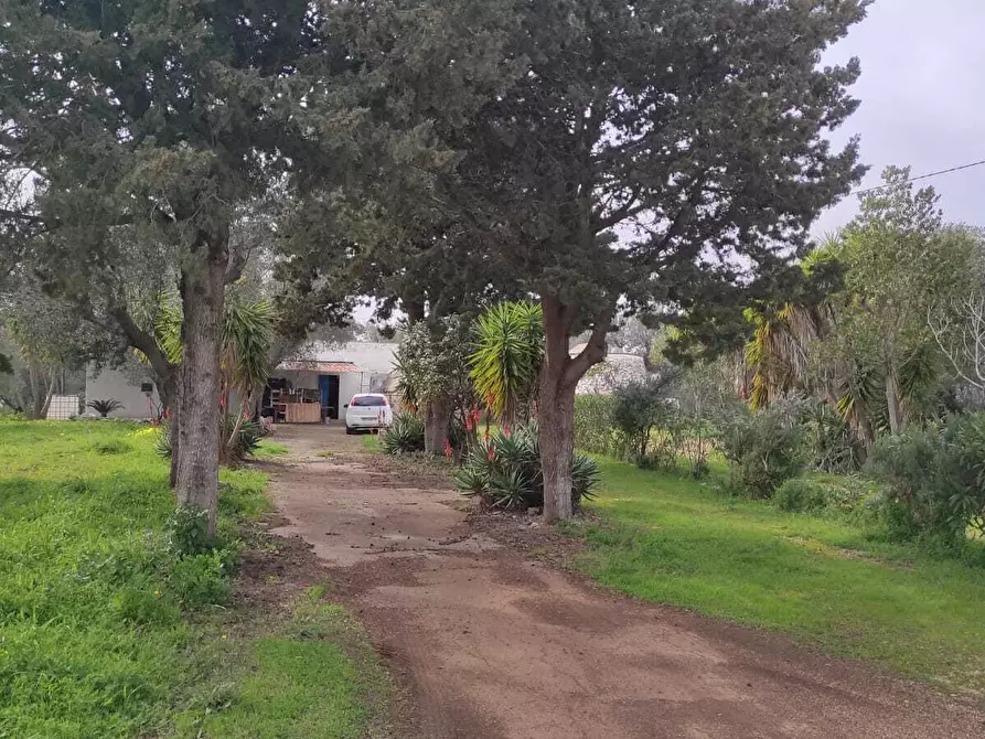 Immagine 3 di Casa indipendente in vendita  in Contrada Santo Scalone a Ostuni