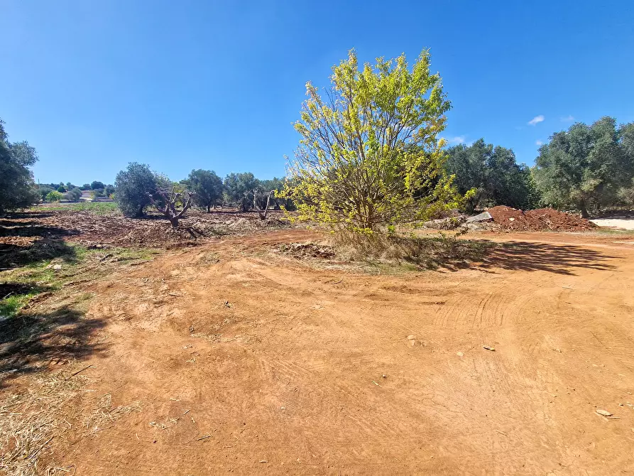 Immagine 60 di Rustico / casale in vendita  in Contrada Mincuccio N.C a Ostuni