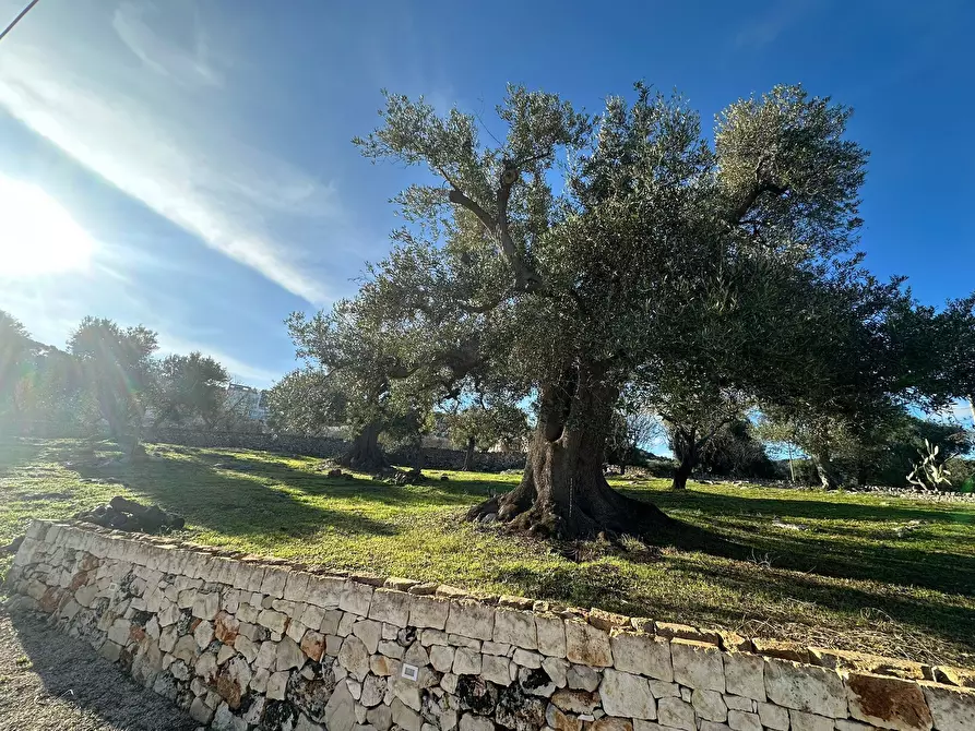 Immagine 39 di Casa indipendente in vendita  in Corso Giuseppe Mazzini a Ostuni