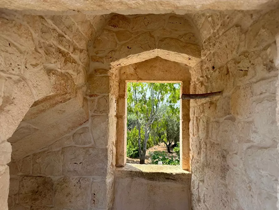 Immagine 26 di Rustico / casale in vendita  in Strada Provinciale 29 a Ostuni
