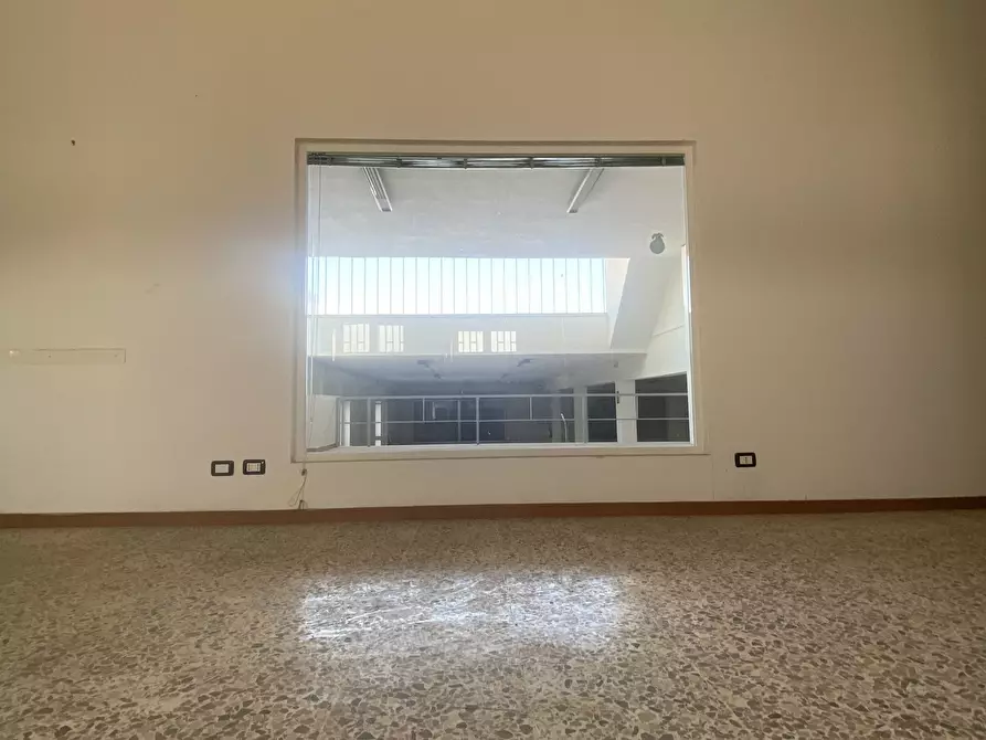 Immagine 10 di Azienda agricola in vendita  in Strada Statale 16 Adriatica 105 a Ostuni