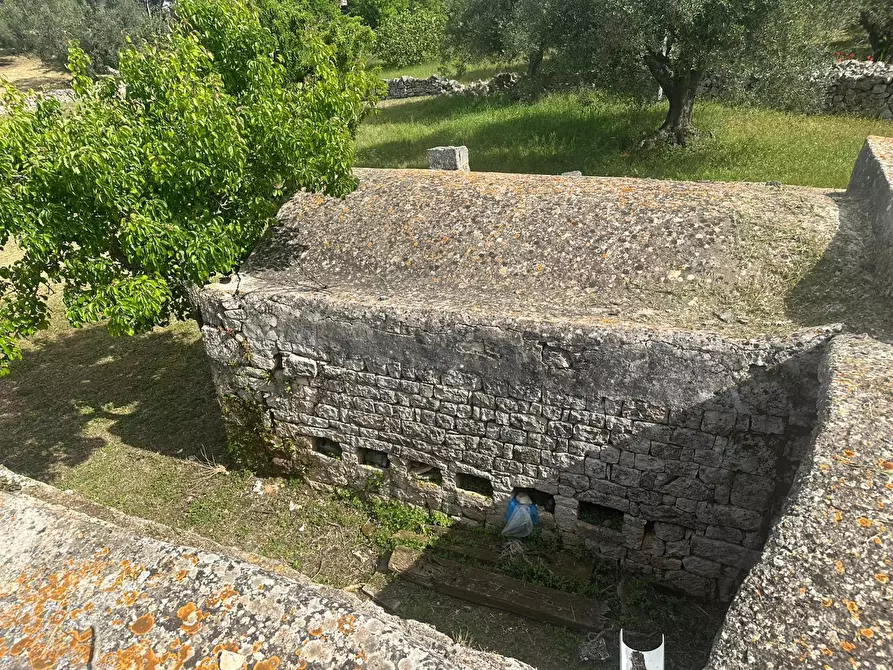 Immagine 27 di Rustico / casale in vendita  in Strada Provinciale 17 a Ostuni