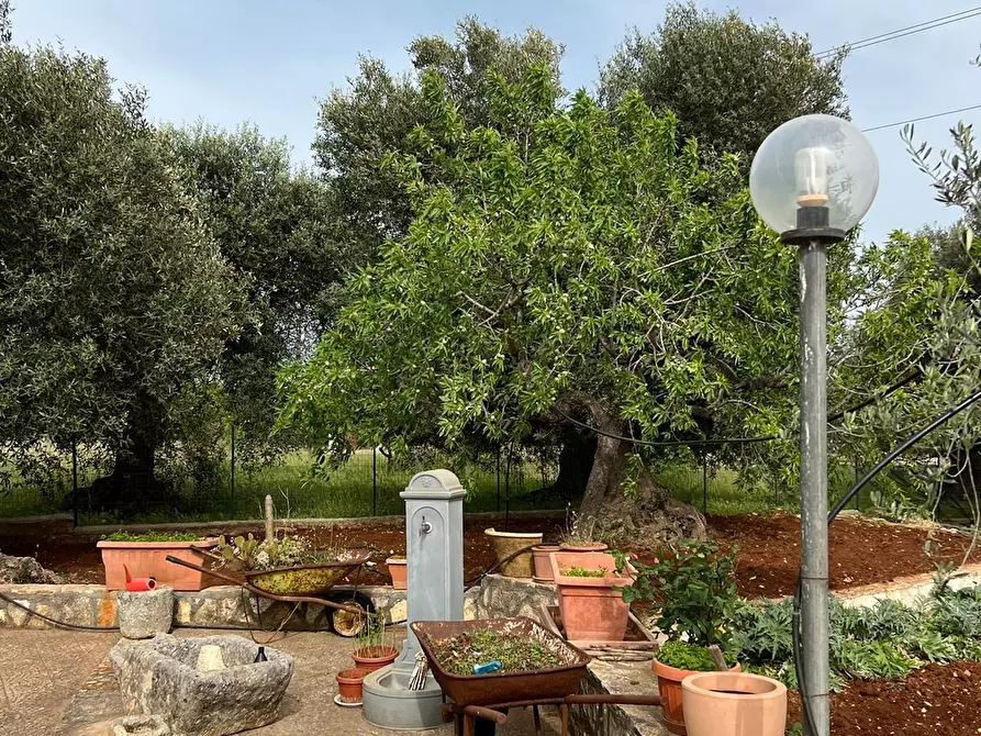 Immagine 34 di Villa in vendita  in Strada Provinciale 22sp 22 a Ostuni