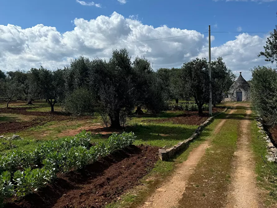 Immagine 20 di Casa indipendente in vendita  in Contrada San Giovanni a Ostuni