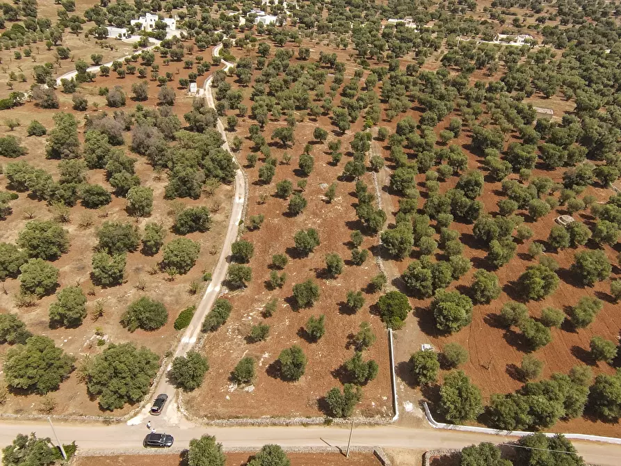Immagine 5 di Terreno edificabile in vendita  in Contrada Specchia a Carovigno