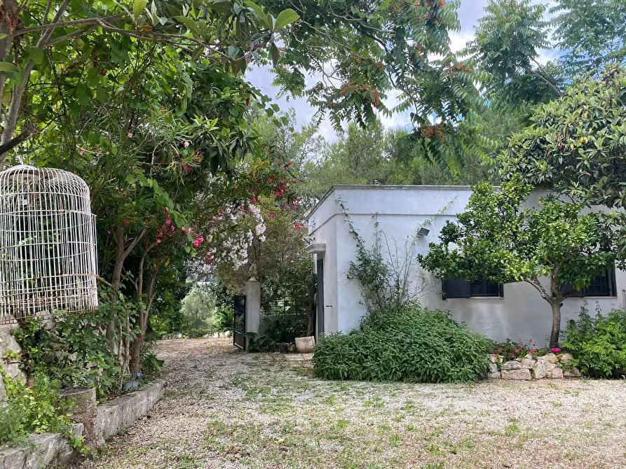 Immagine 6 di Rustico / casale in vendita  in contrada cervarolo a Ostuni