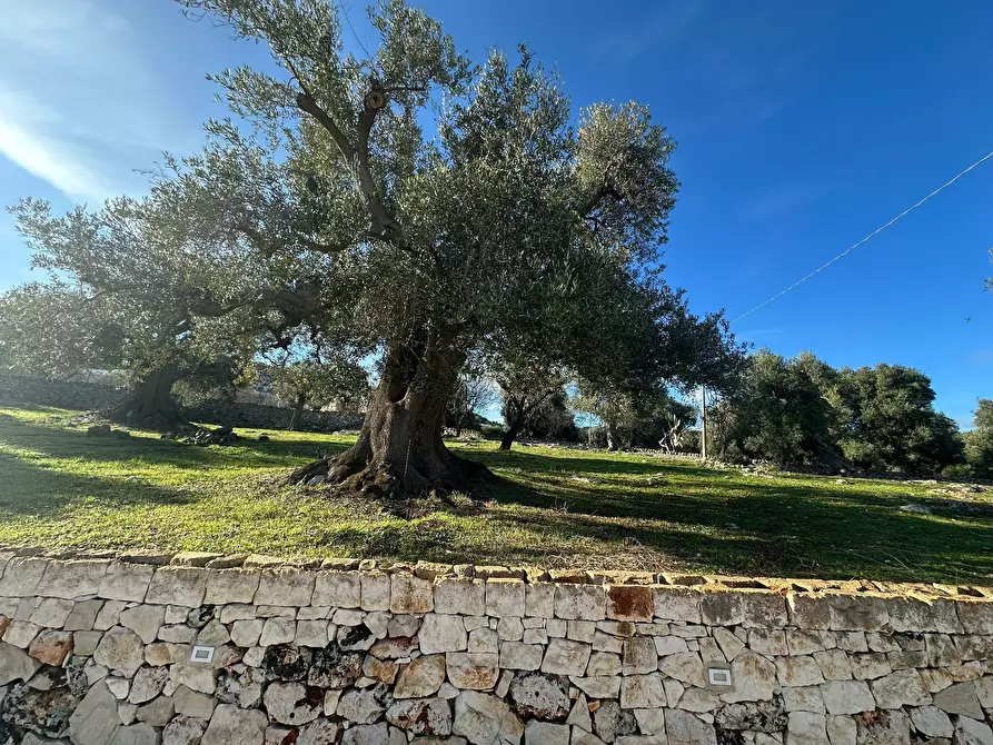 Immagine 36 di Casa indipendente in vendita  in Corso Giuseppe Mazzini a Ostuni