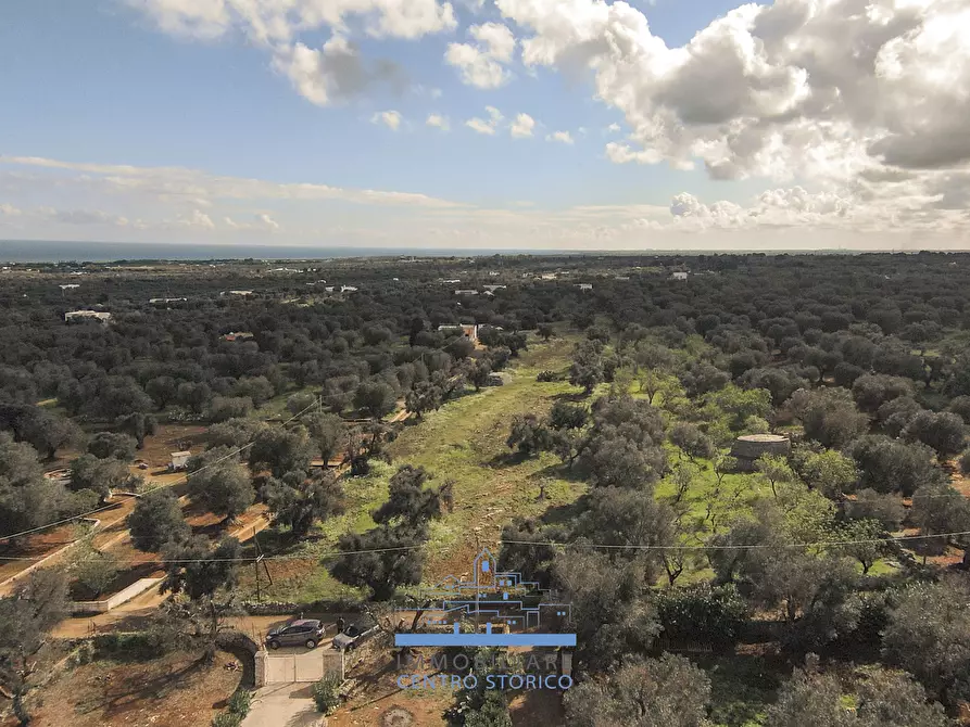 Immagine 1 di Terreno edificabile in vendita  in contrada sierri a Carovigno
