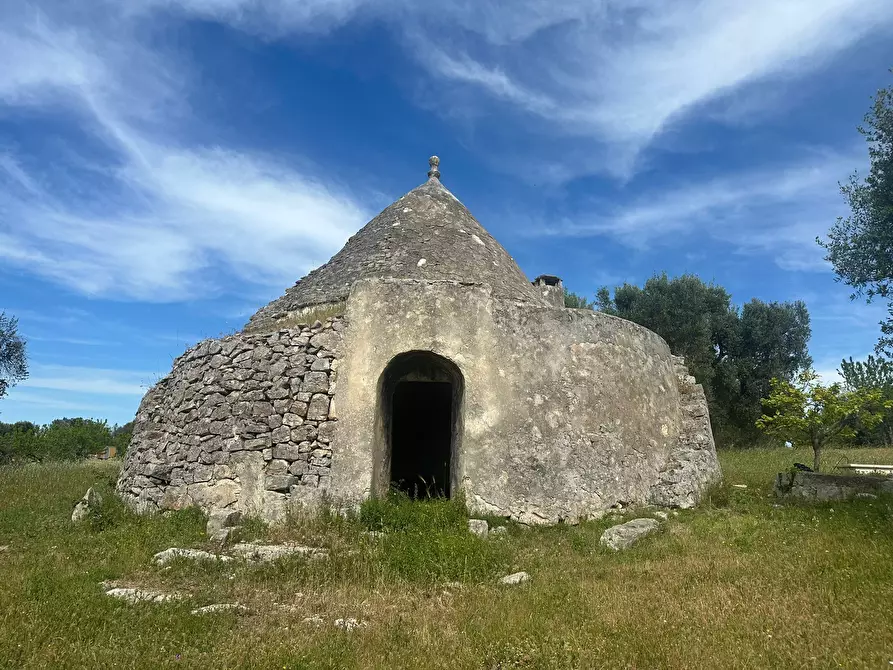 Immagine 4 di Rustico / casale in vendita  in Strada Provinciale 17 a Ostuni