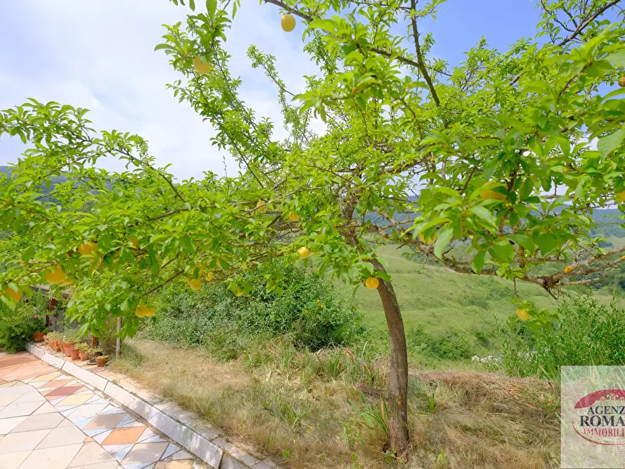 Immagine 10 di Rustico / casale in vendita  in VIA AVERA a Mioglia