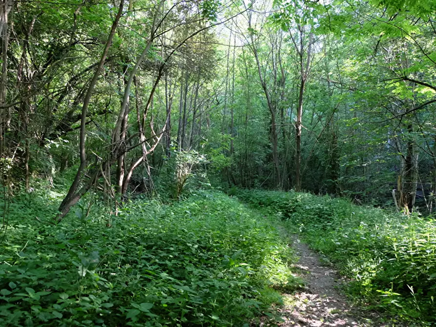 Immagine 5 di Rustico / casale in vendita  in Unnamed Road 13b a Sassello