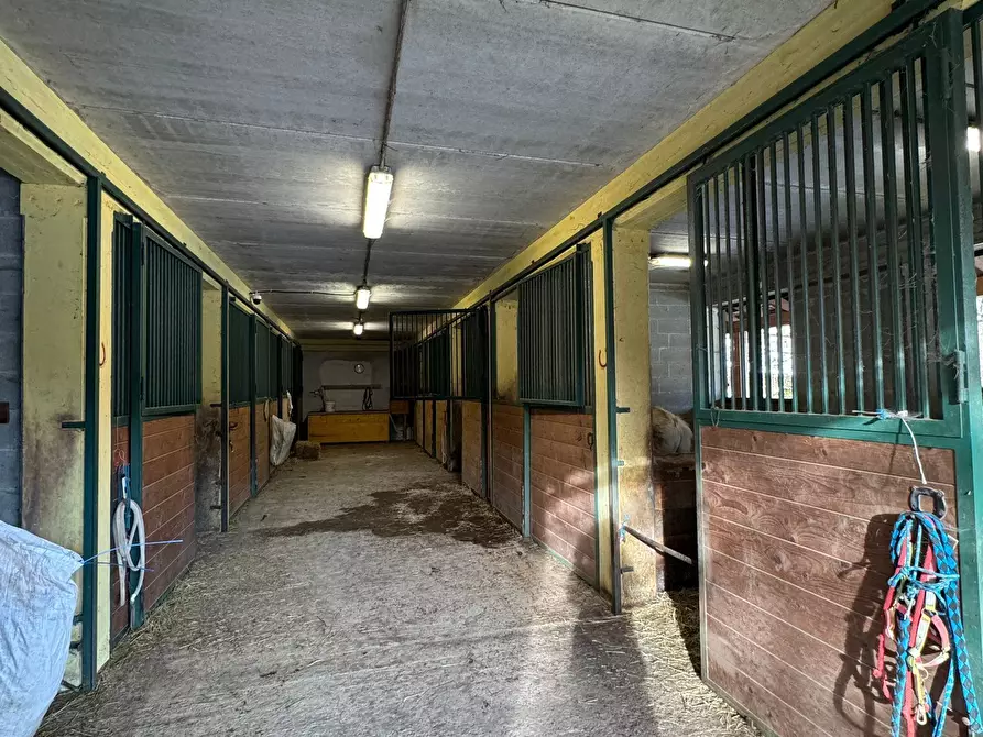 Immagine 46 di Casa indipendente in vendita  in Strada Provinciale 32 6 a Pontinvrea