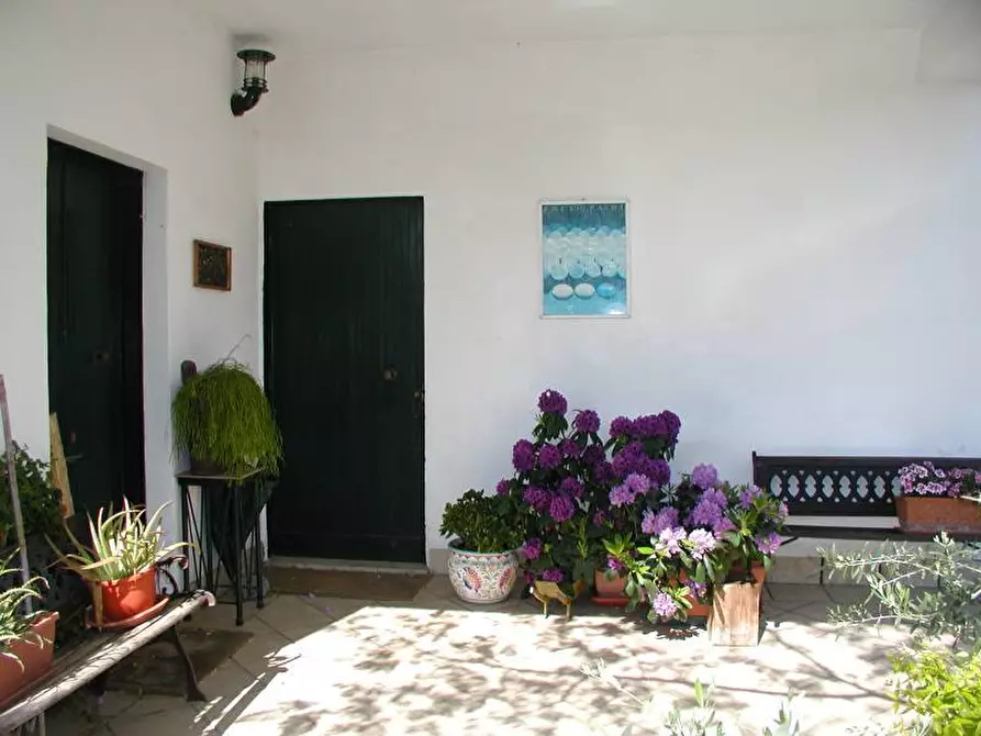 Immagine 11 di Rustico / casale in vendita  in via delle ginestre 3 a Cartosio