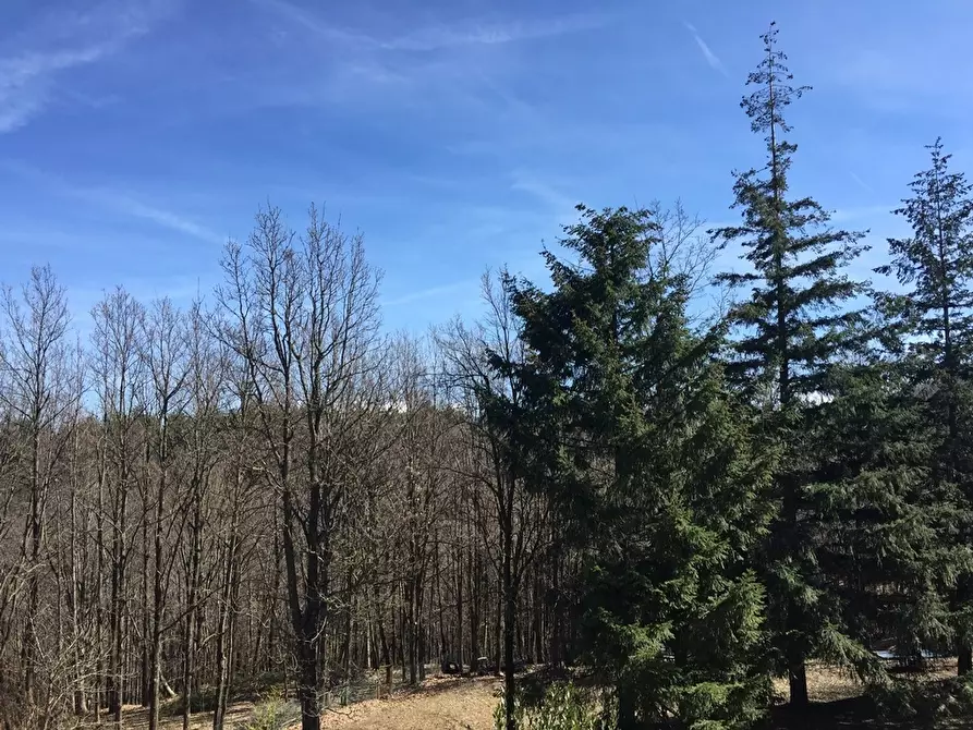 Immagine 13 di Appartamento in vendita  a Urbe