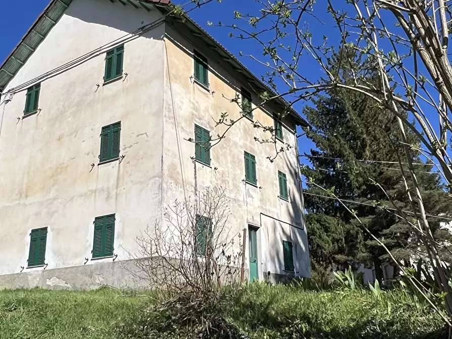 Immagine 3 di Rustico / casale in vendita  a Urbe