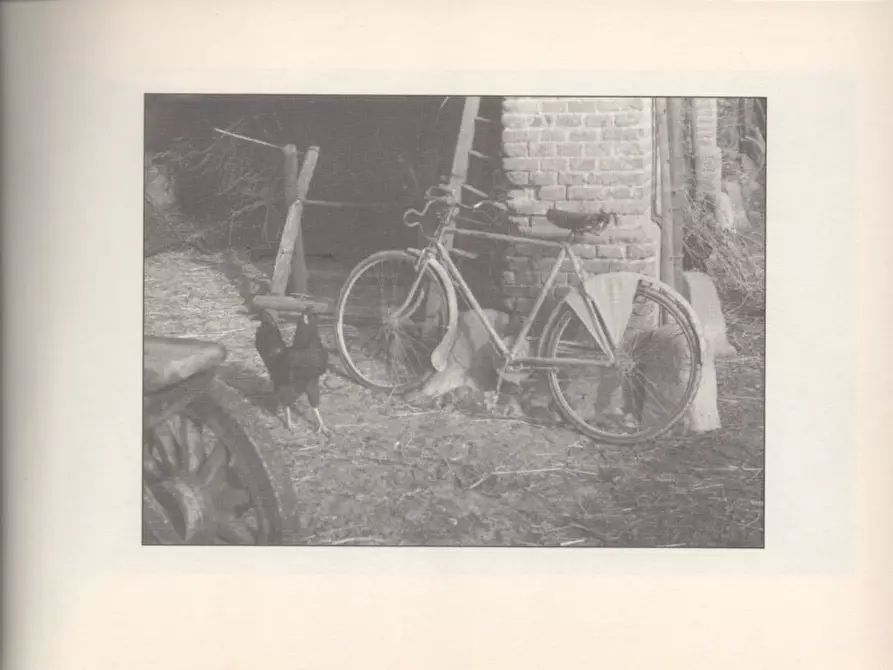 Immagine 56 di Casa indipendente in vendita  a Molare