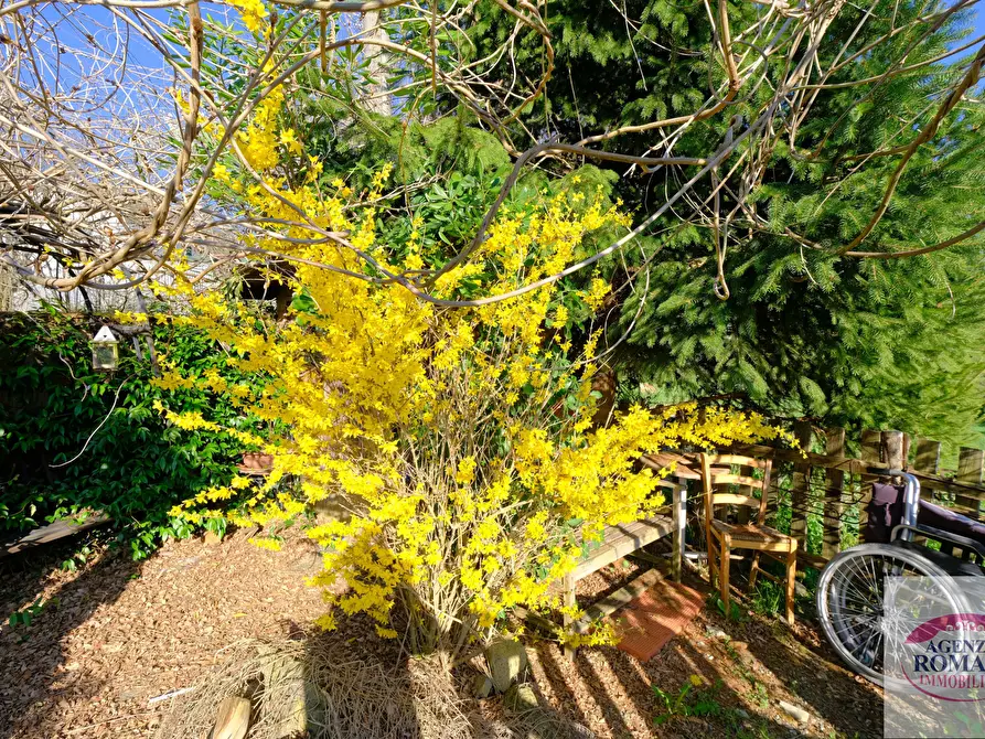 Immagine 10 di Rustico / casale in vendita  in SP542 75 a Pontinvrea