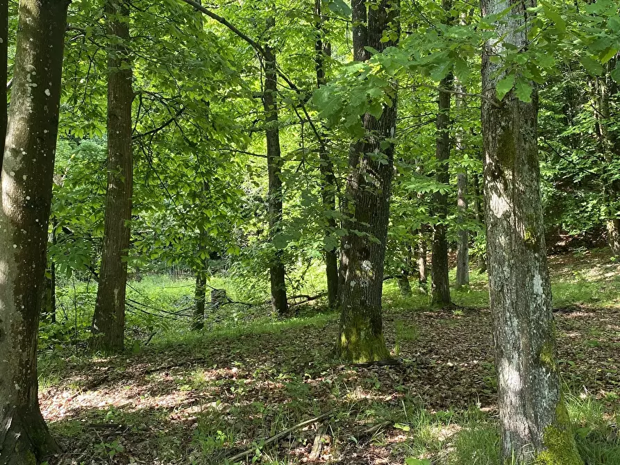 Immagine 5 di Casa indipendente in vendita  in Via Monterosso 11 a Tiglieto